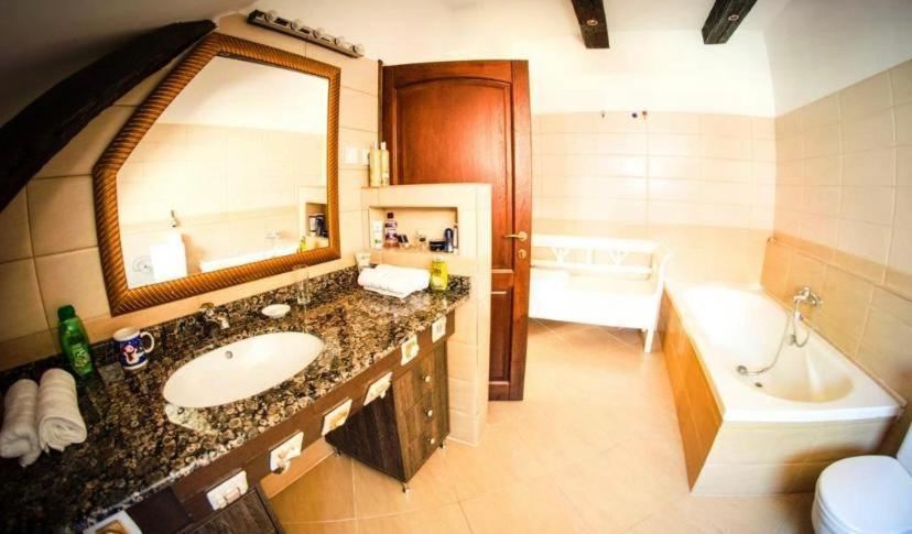 The Attic Apartment Brasov Bagian luar foto